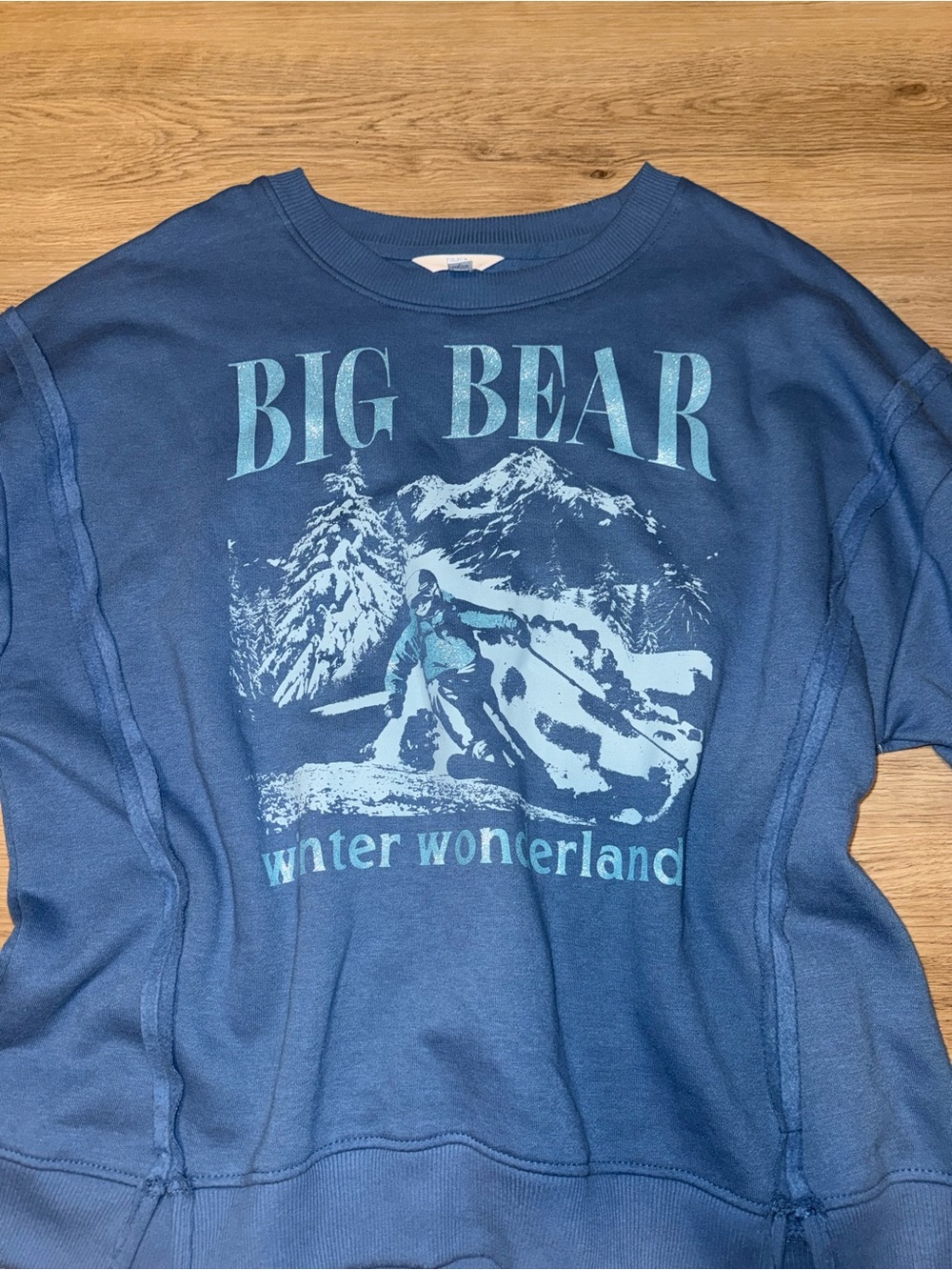 Big Bear Winter Wonderland Blue women Sweatshirt